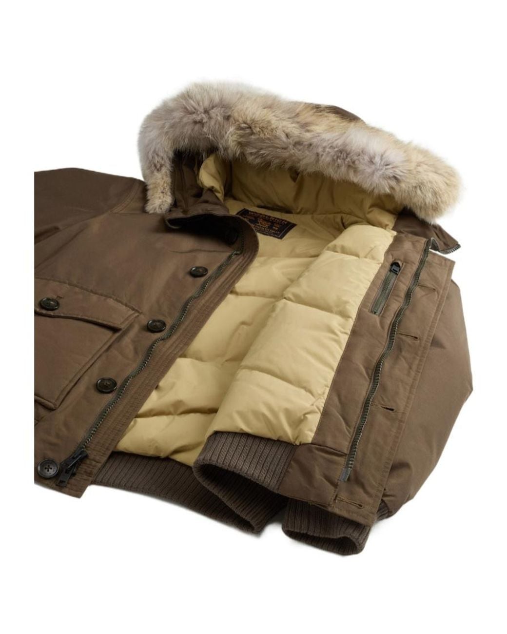 Woolrich Brown Polar Hooded Bomber Jacket for men
