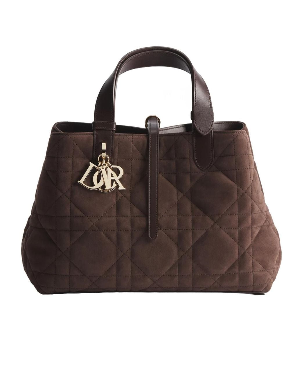 Dior Brown Medium Toujours Bag