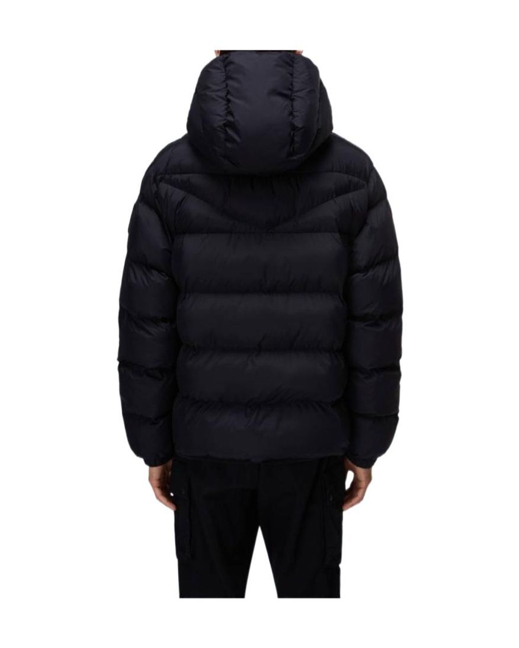 Napapijri Blue Hooded Padded Jacket for men