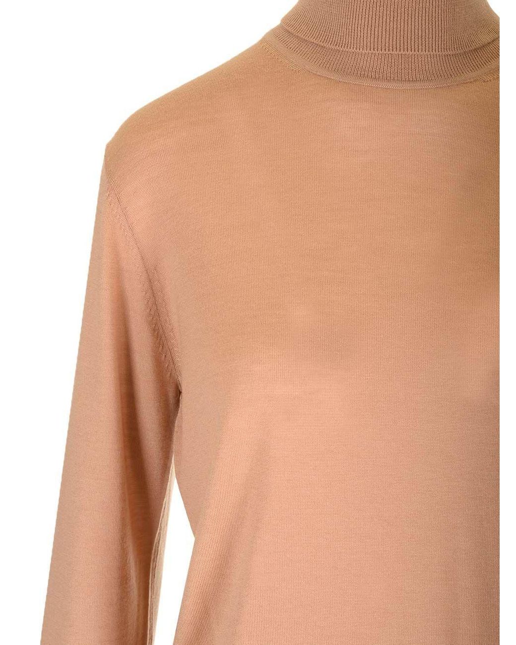 Forte_forte Multicolor Superfine Merinos Turtleneck Knitwear