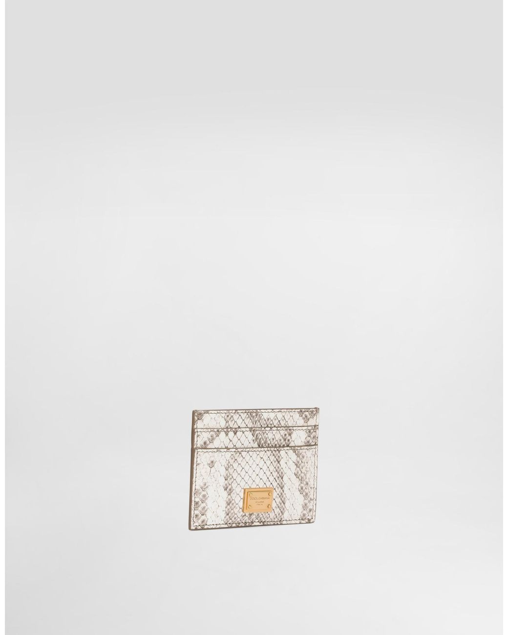Dolce & Gabbana White Python Card Holder