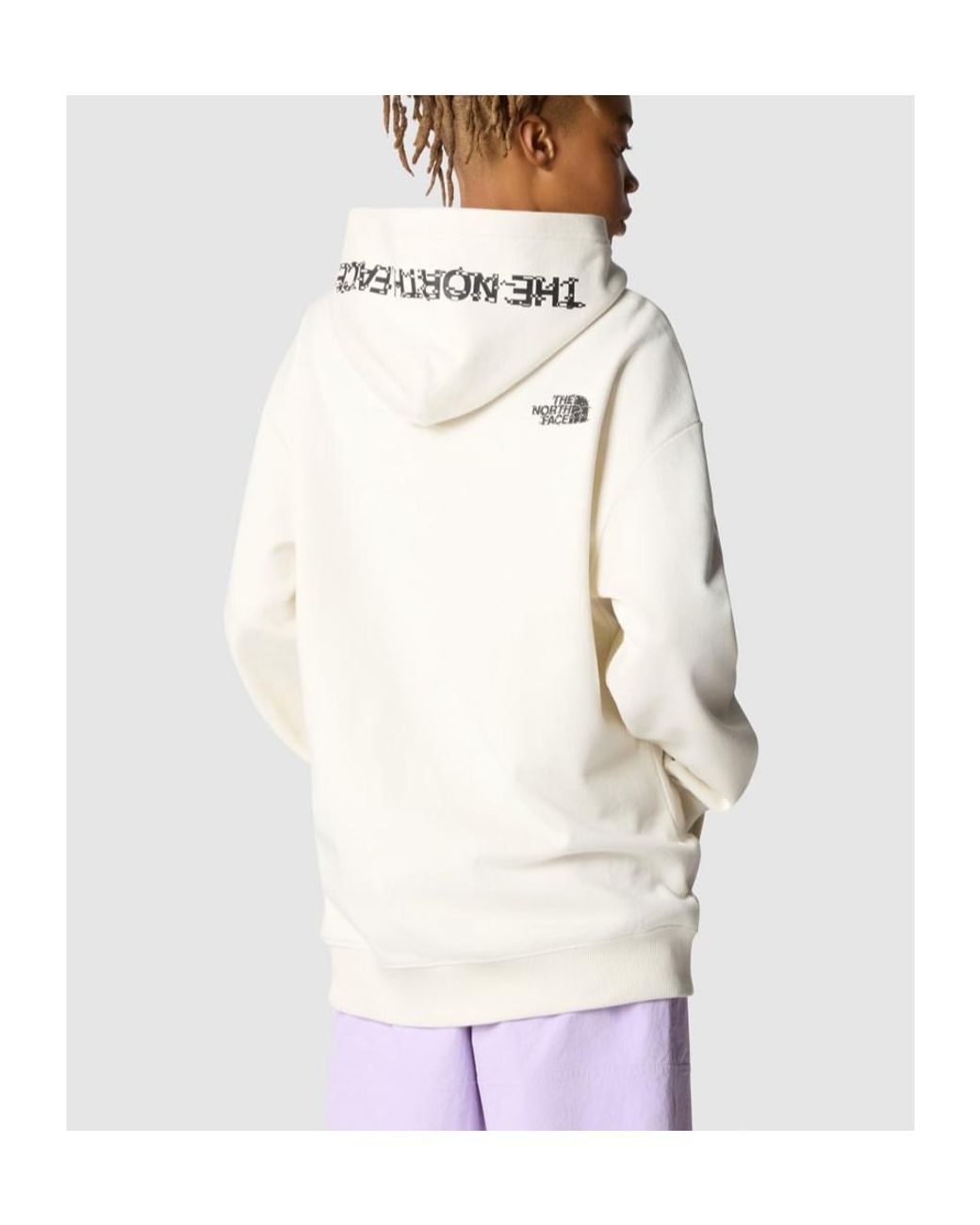 The North Face Gray Nse Graphic Hoodie for men