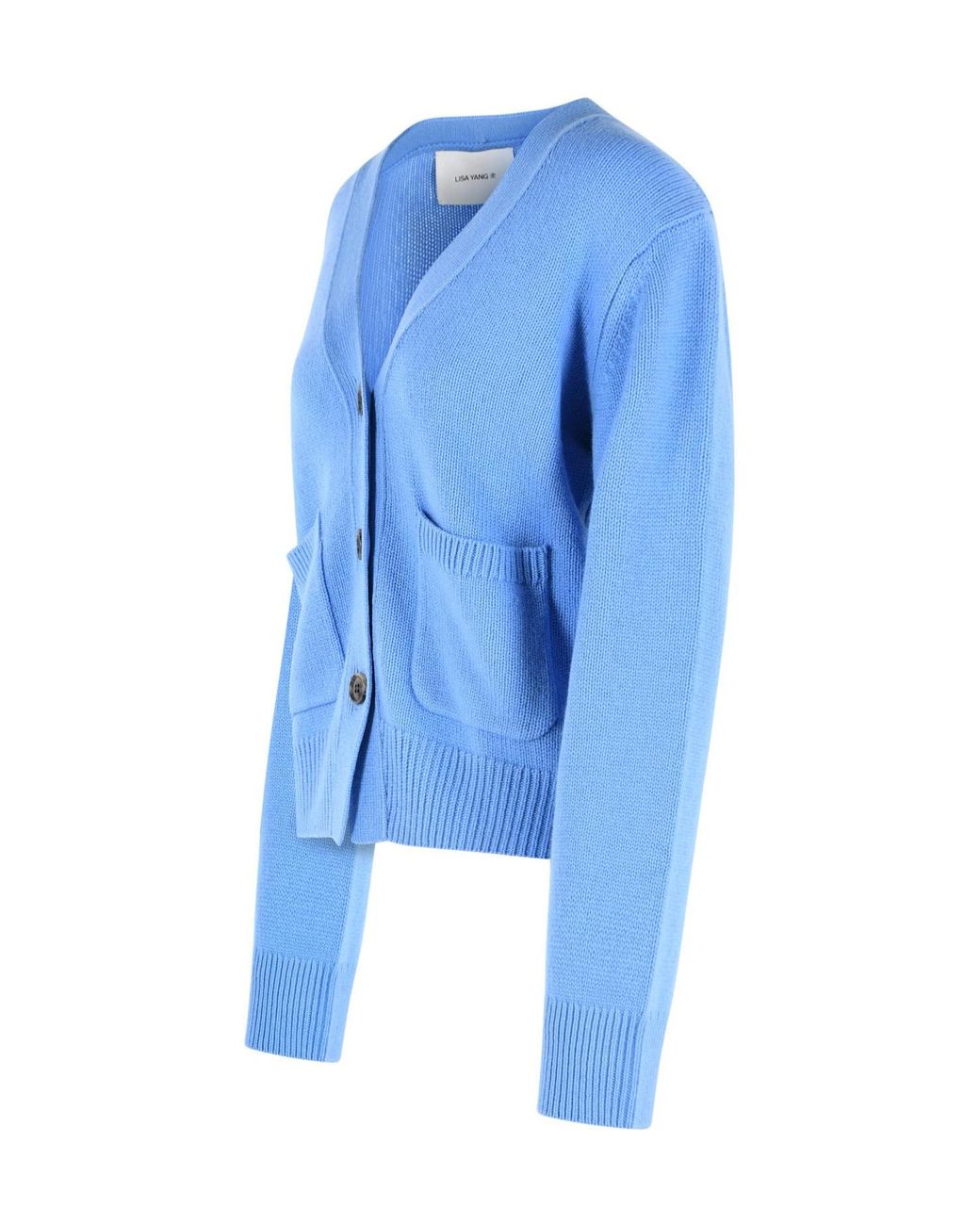 Lisa Yang Blue Long-Sleeved Button-Down Cardigan
