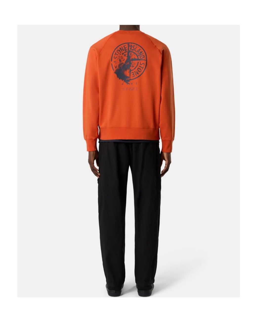 Stone Island Orange Oversized-Fit Crewneck Sweatshirt With 'Desert'Print for men