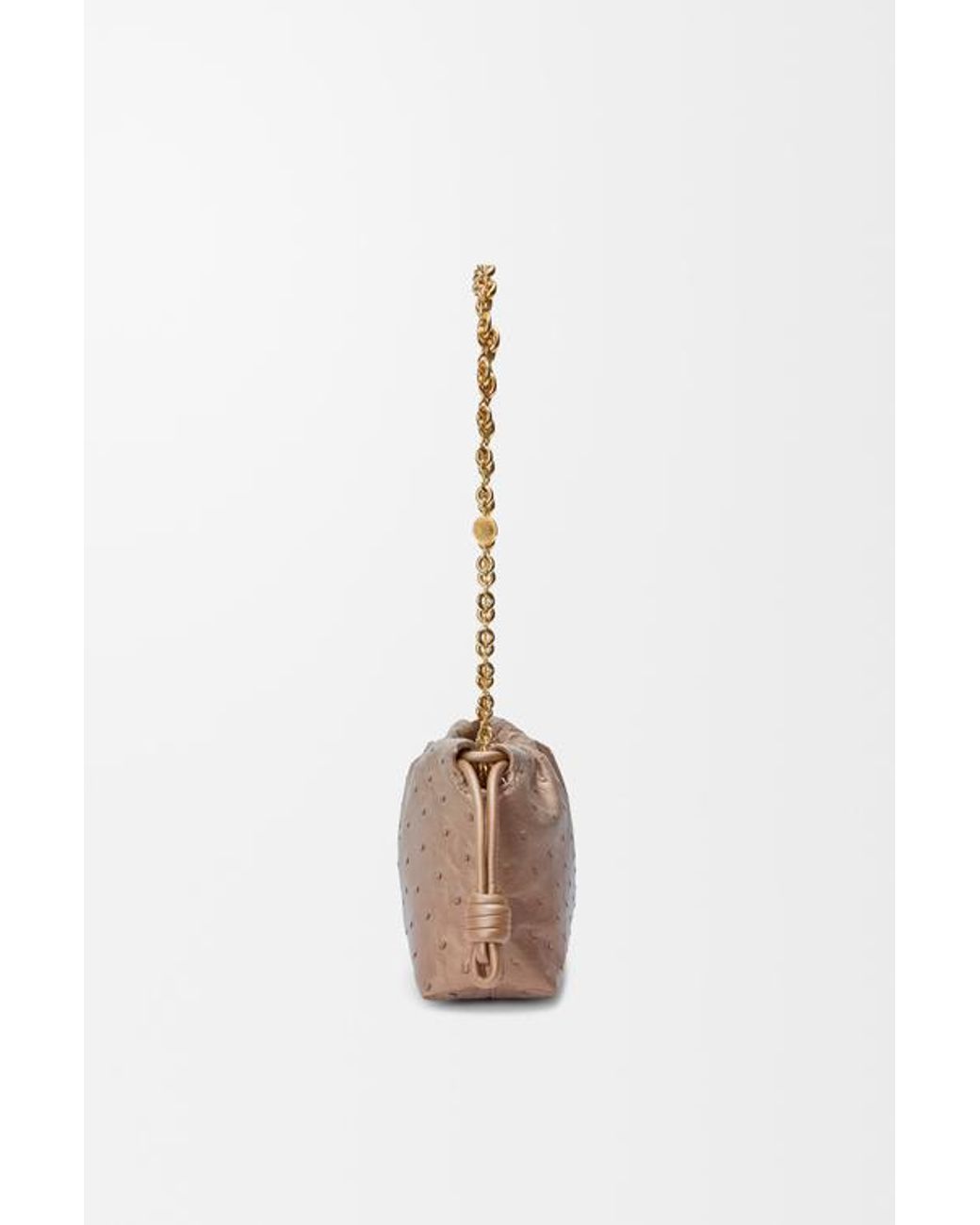Loewe Brown Chain Shoulder Bag