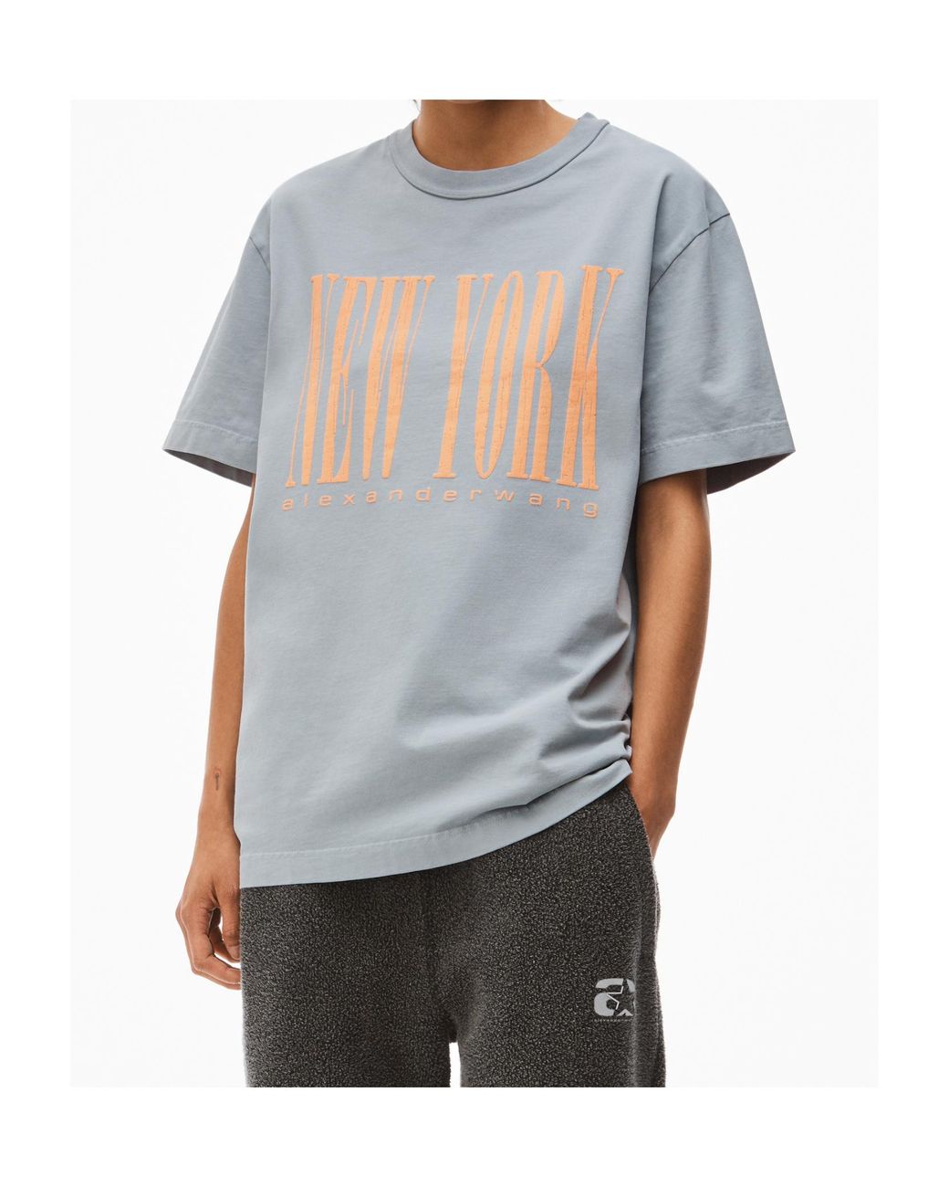 Alexander Wang Gray Graphic Printed Crewneck T-Shirt