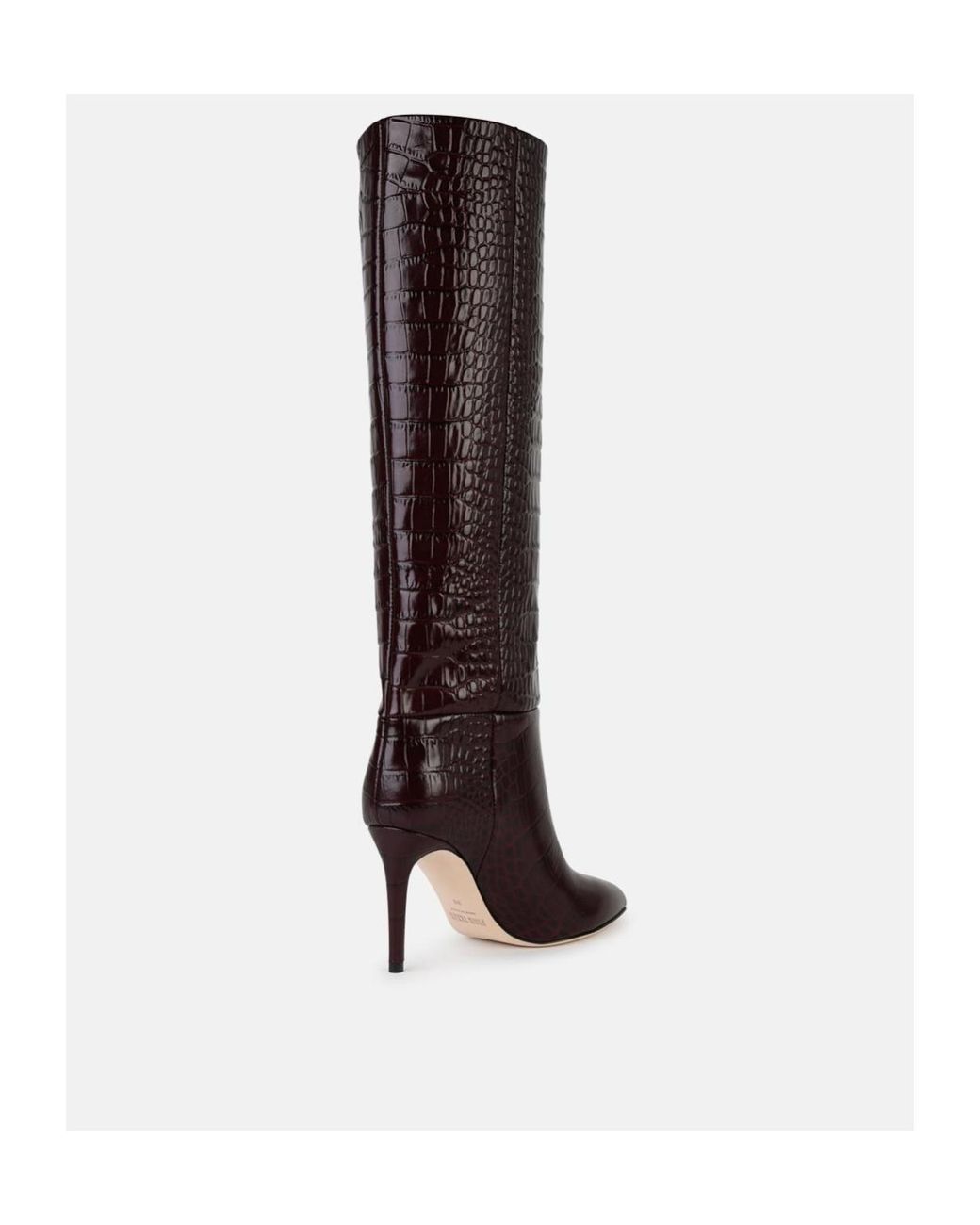 Paris Texas Brown Pointed Boots