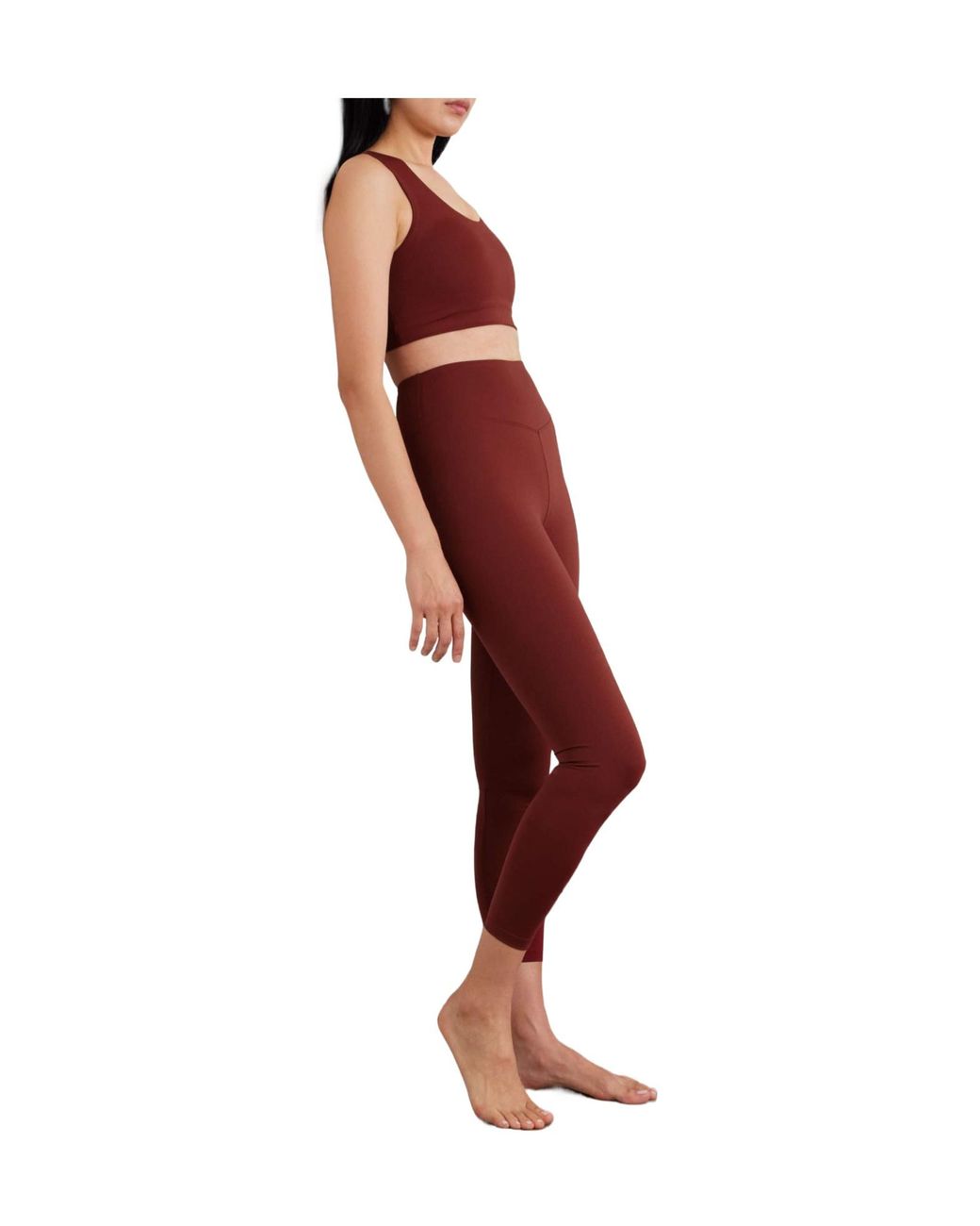 Eres Embroidered Stretch-Jersey Leggings