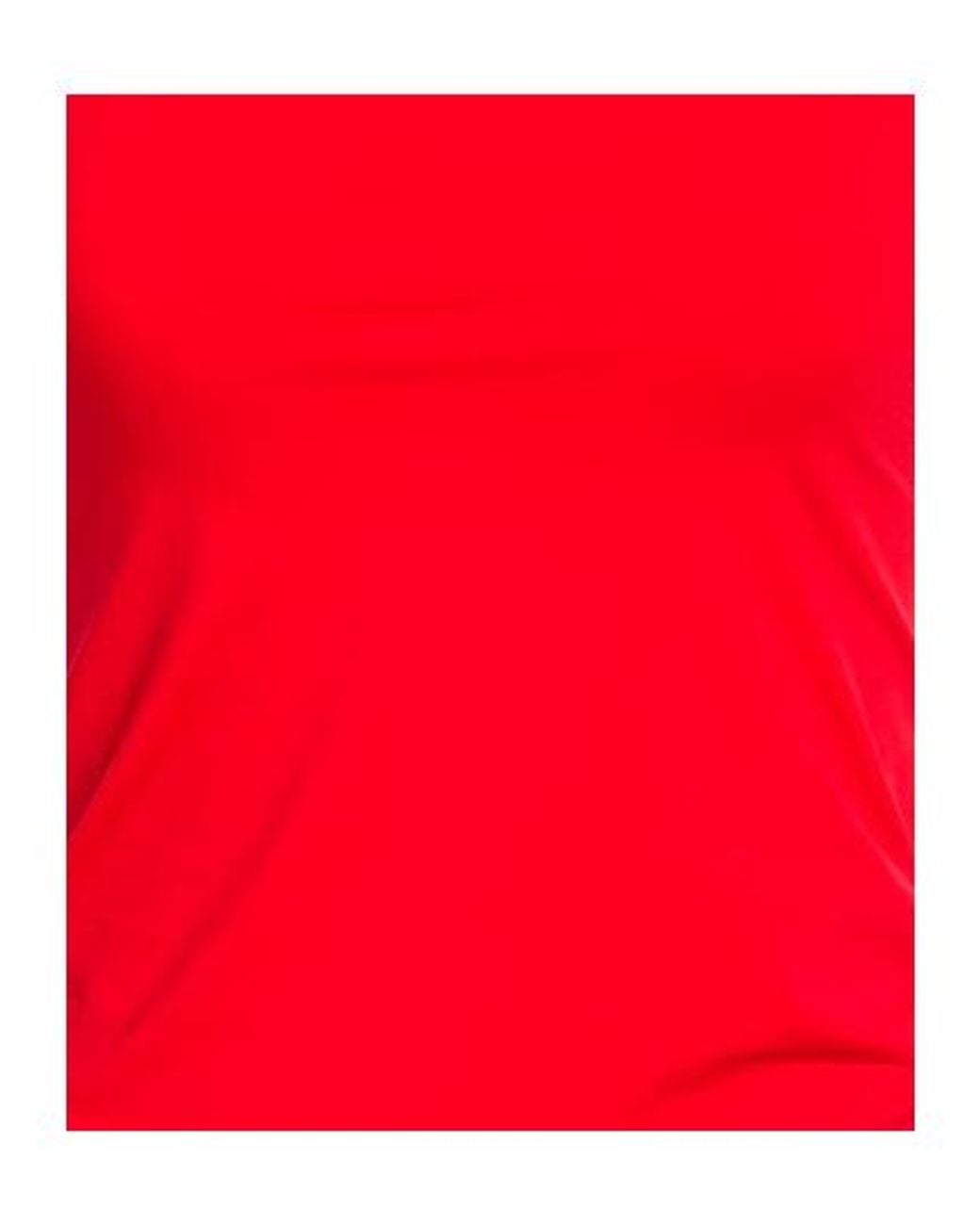 Sportmax Red Minimalist Stretch Cami Top