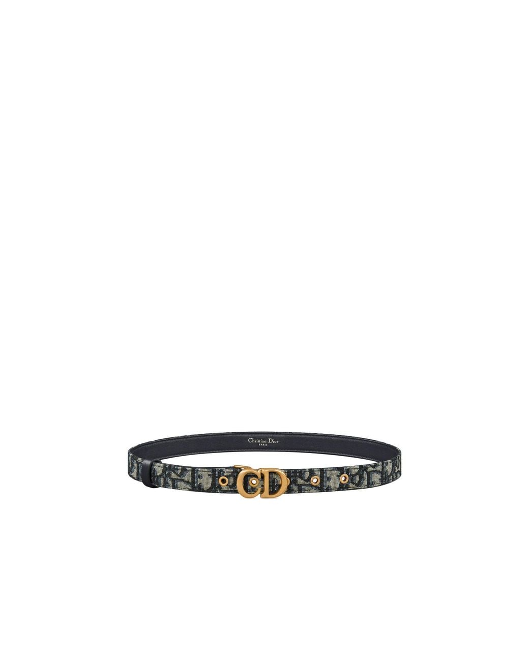 Dior White Saddle Belt
