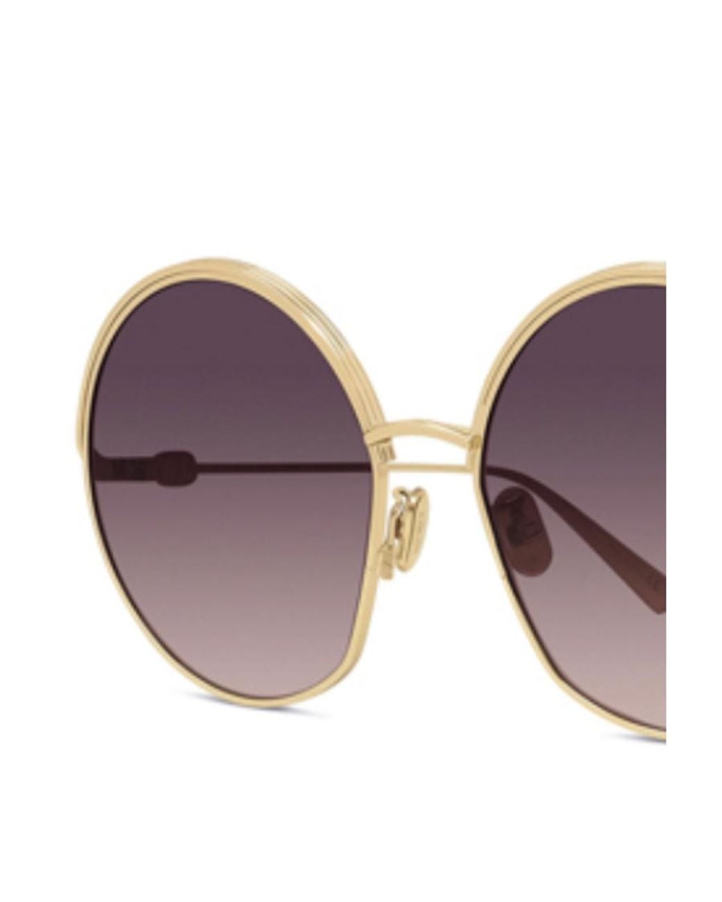 Dior Multicolor Ever Oversized Round-Frame Sunglasses