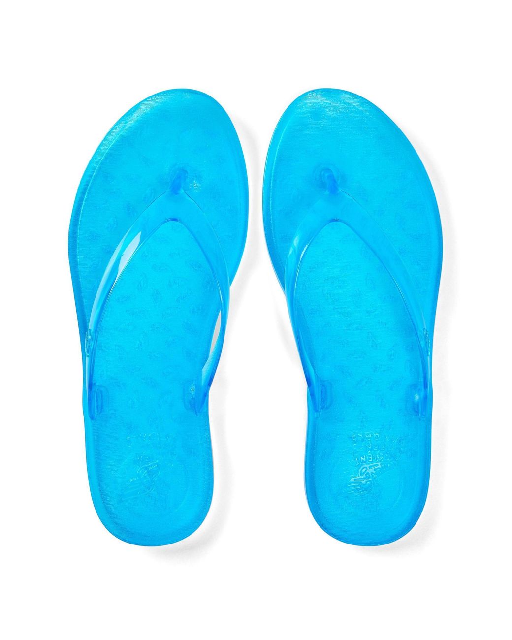 Ancient Greek Sandals Blue Solid Color Flip Flops