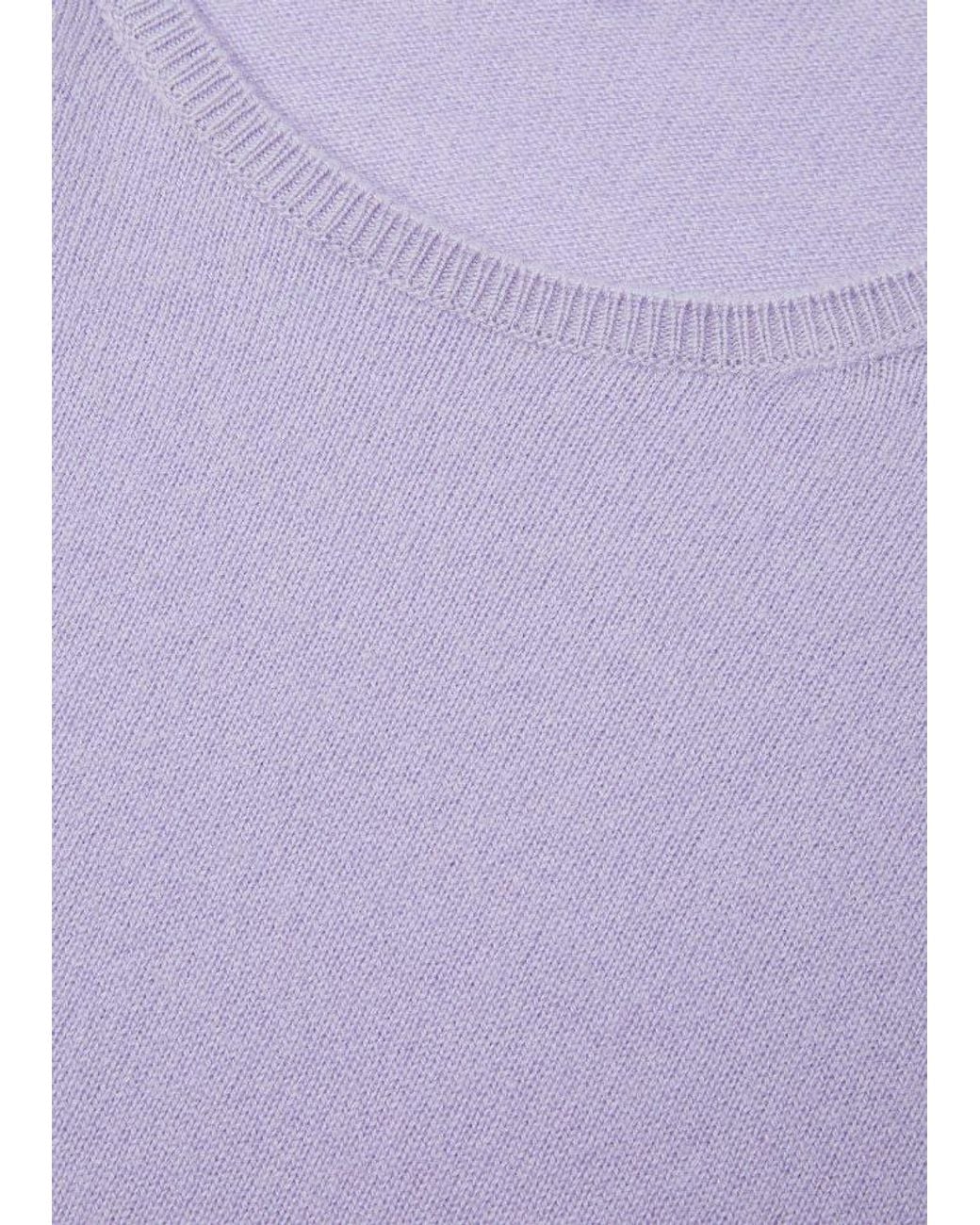 Loro Piana Purple Sergio Crewneck Jumper
