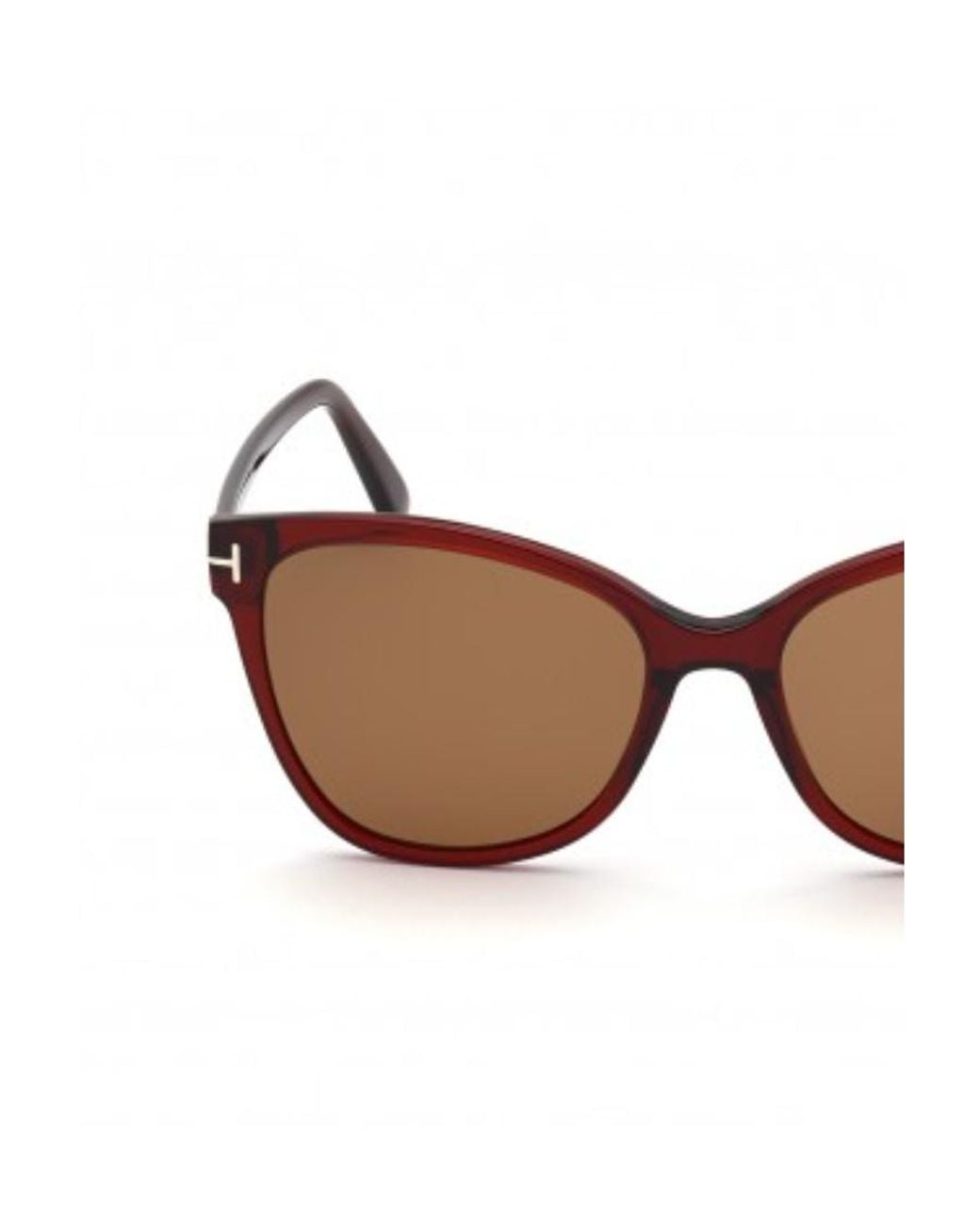 Tom Ford Brown Cat's Eye Frame Sunglasses for men