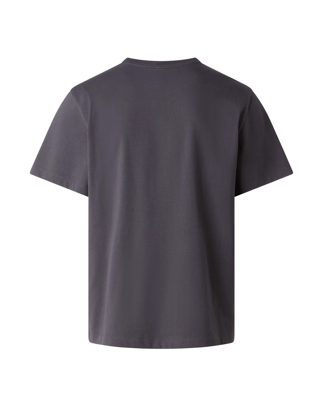 The North Face Blue Solid Color T-Shirt for men