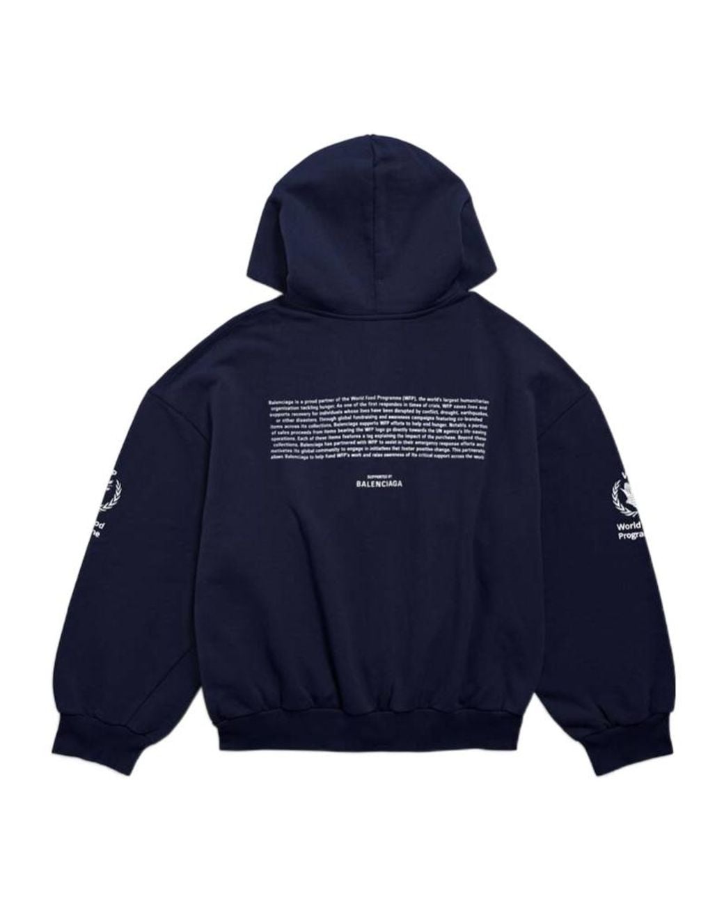 Balenciaga Blue Wfp Regular Zip-Up Hoodie for men