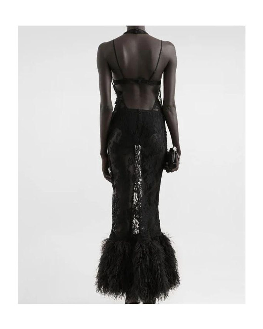 Dolce & Gabbana Black Lace Dress With Feathers Strucia