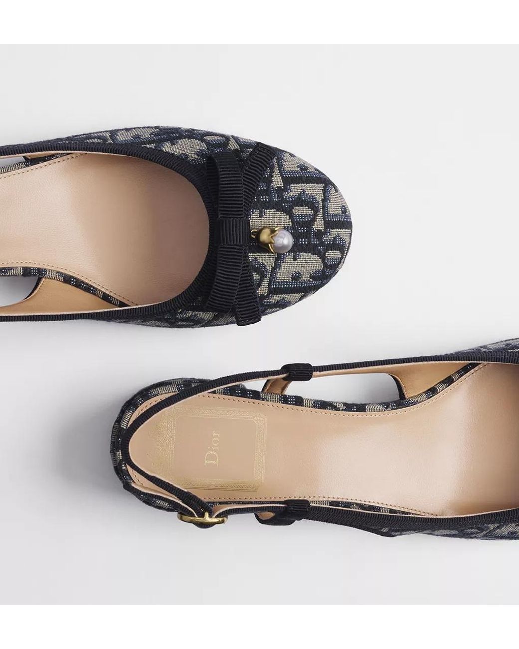 Dior Multicolor Ballet Slingback Pump