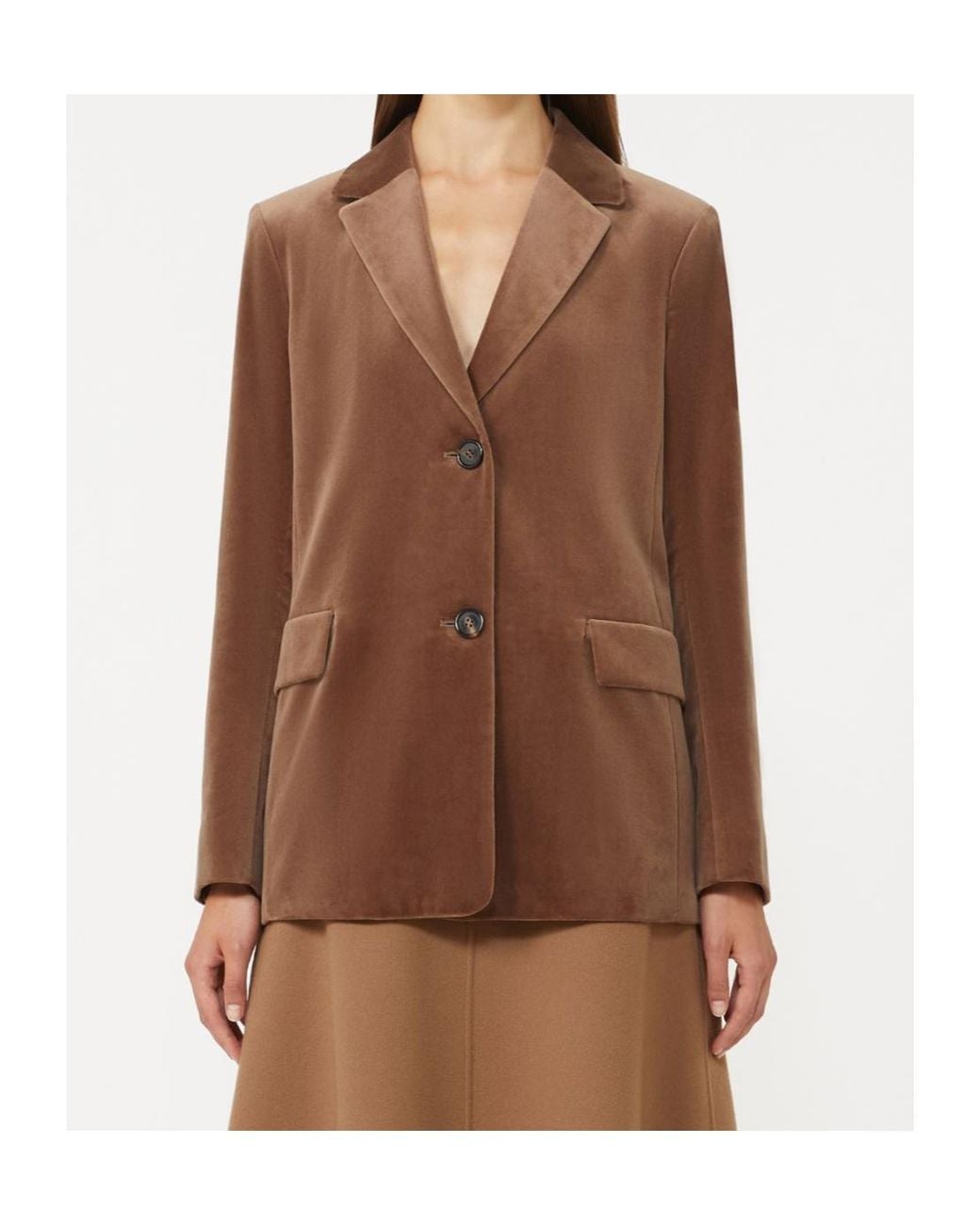 Max Mara Brown 'S Single-Breasted Tailored Blazer