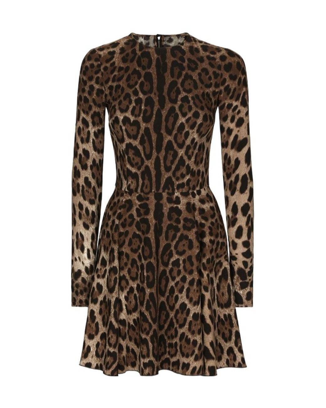 Dolce & Gabbana Brown Leopard-Print Mini Dress