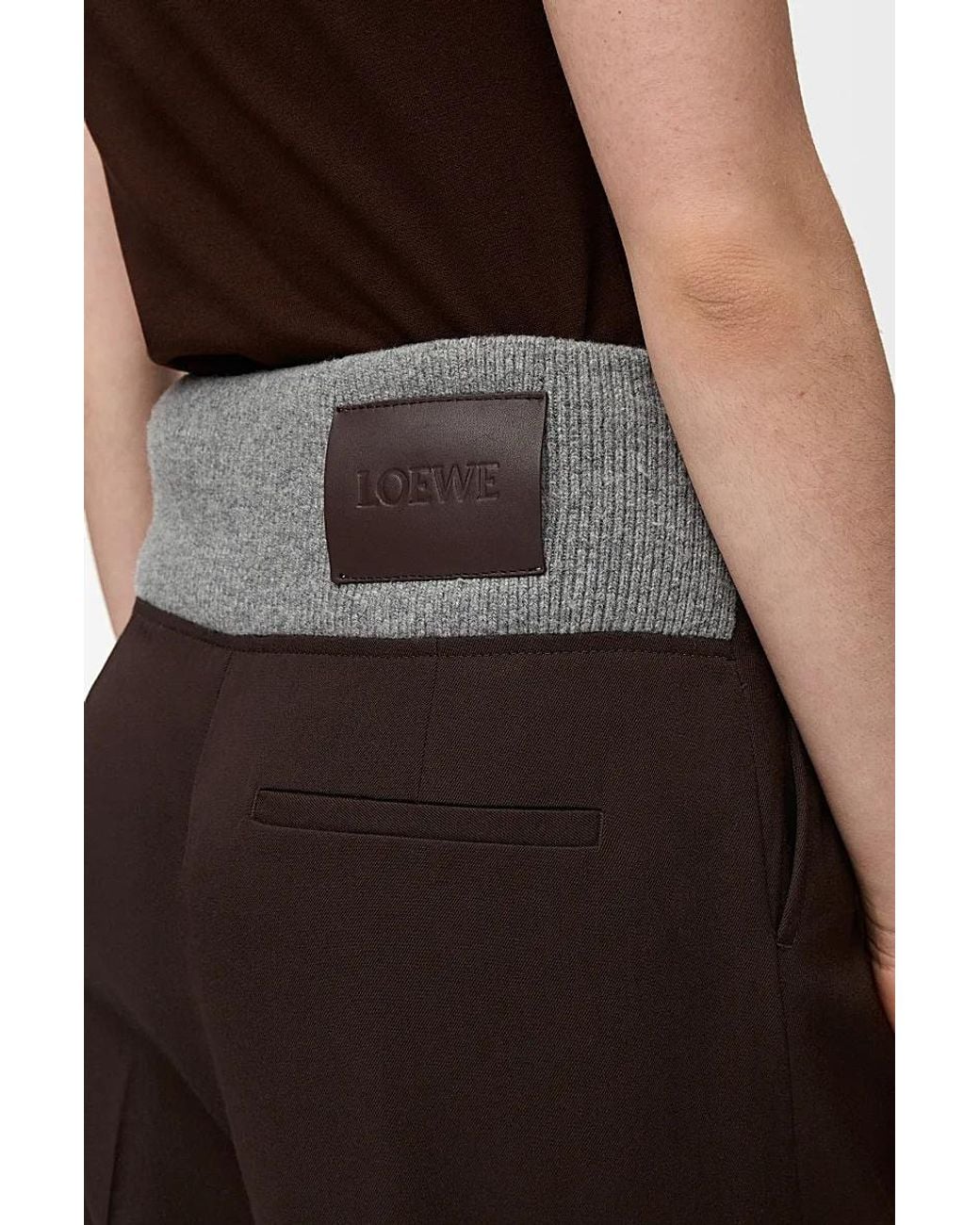 Loewe Brown Straight Leg Pleated Pants