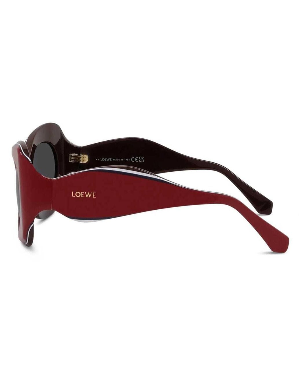 Loewe Multicolor Oval Frame Sunglasses
