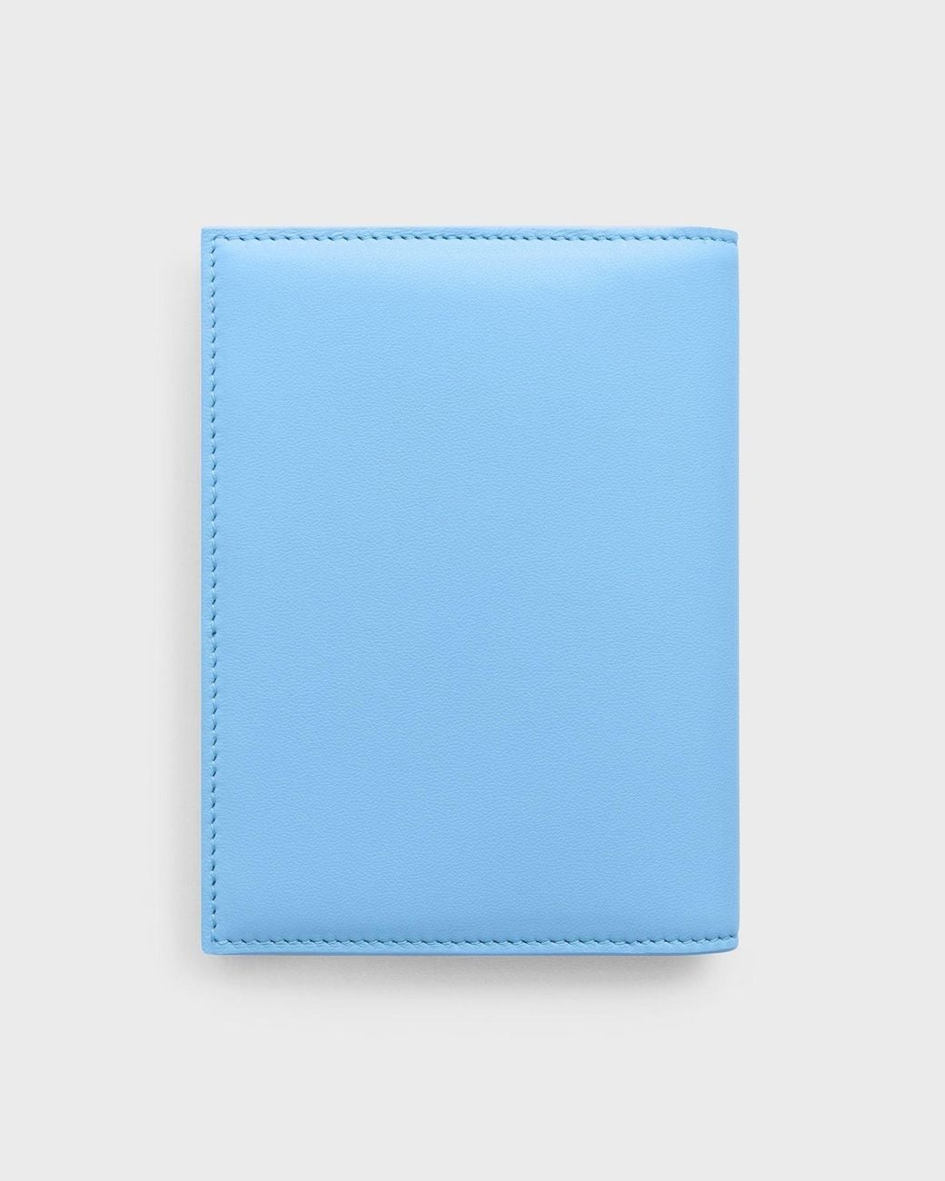 Céline Blue Passport Cover Takeaway for men