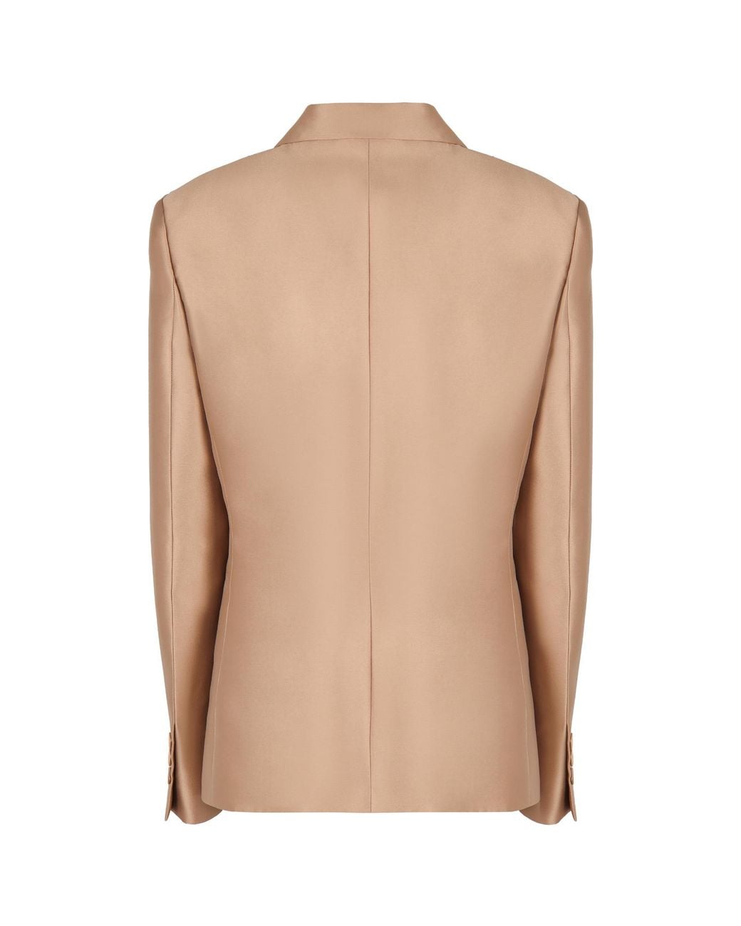 Alberta Ferretti Brown Single-Breasted Blazer