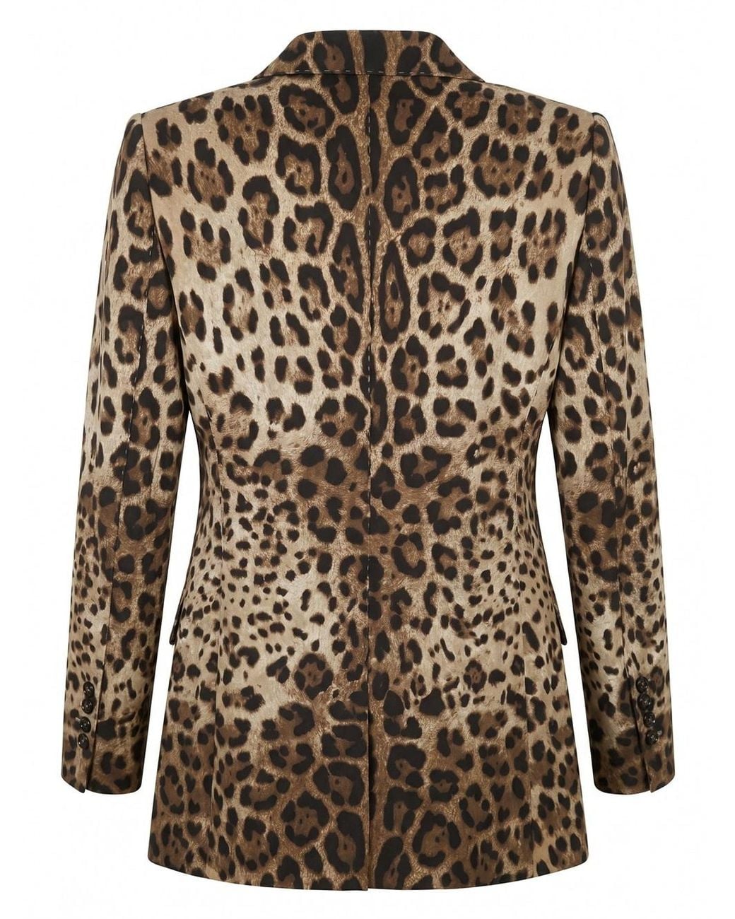 Dolce & Gabbana Brown Leopard Printed Jacket