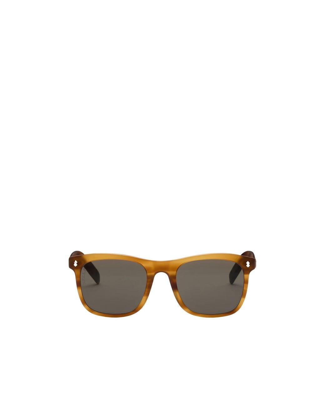 Loro Piana Multicolor Horsey Sunglasses for men