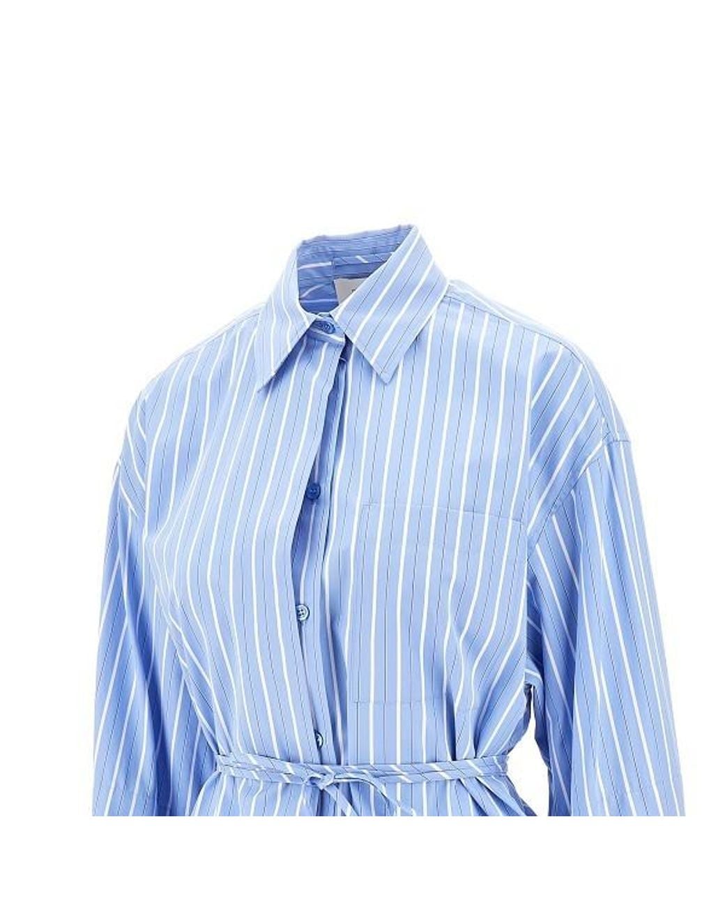 Sportmax Blue Firma Striped Button-Up Shirt