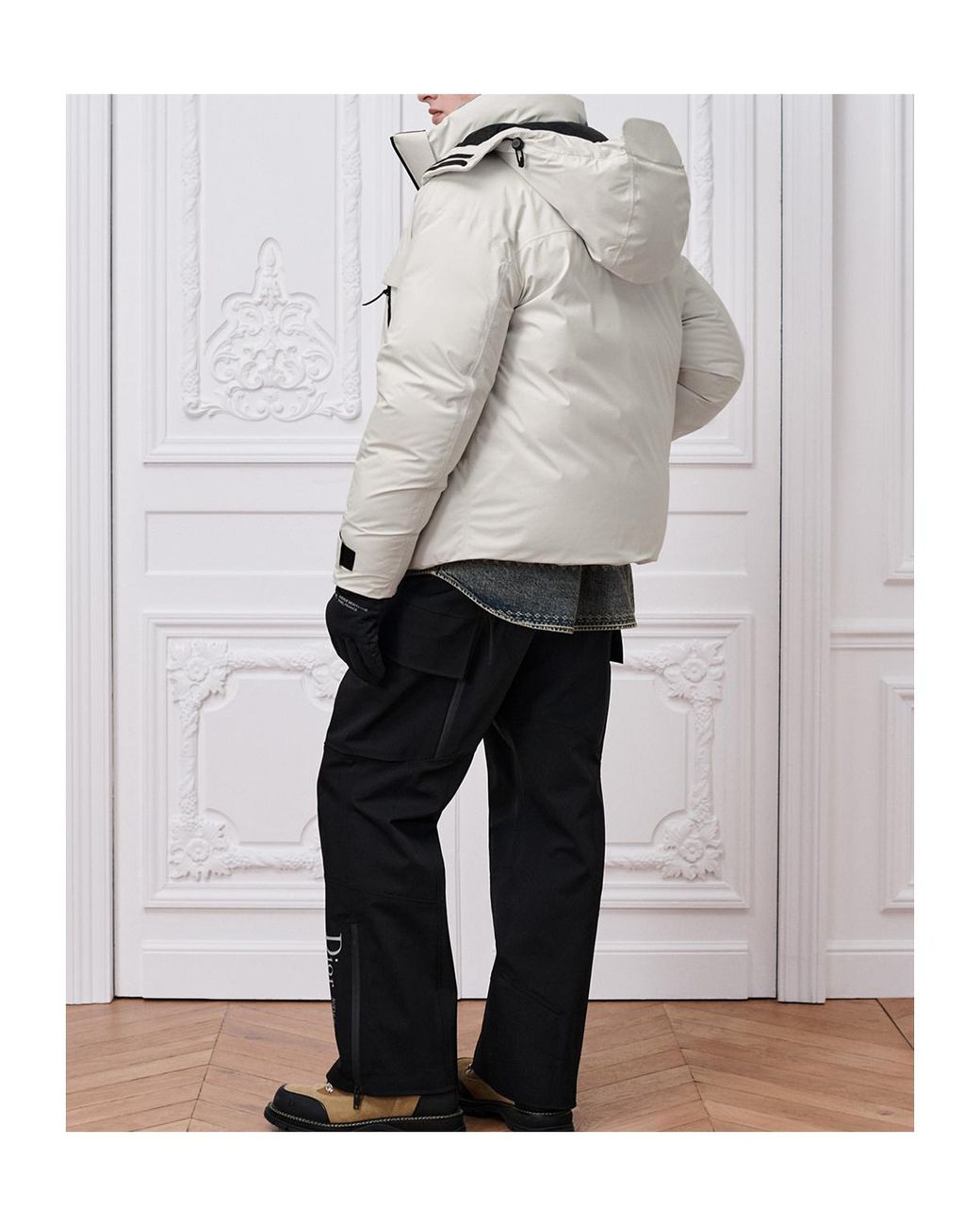 Dior Gray Alps Puffer Jacket With Removable Hood for men