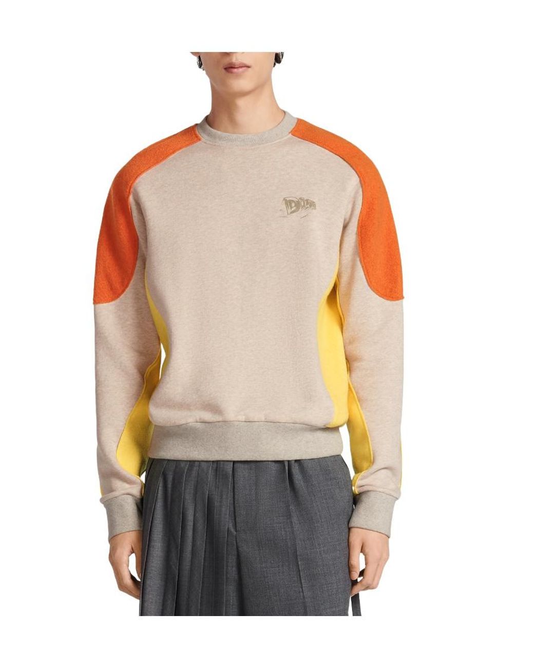 Dior Multicolor Homme Logo Printed Crewneck Sweatshirt for men