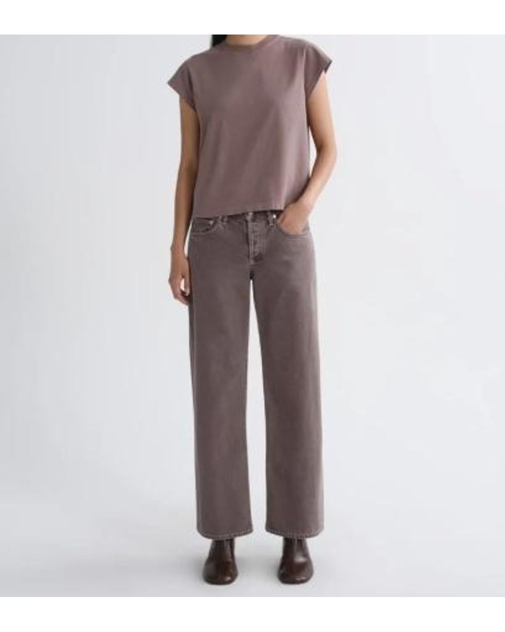 Agolde Gray Low Rise Loose Wide-Leg Jeans
