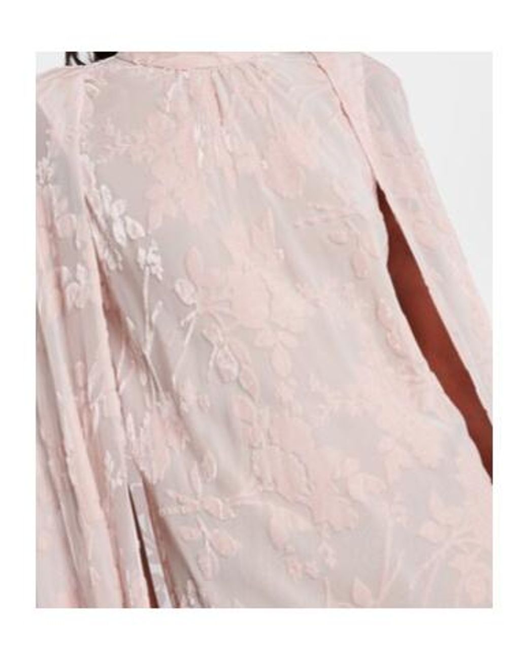 Rodarte Pink Caped Velvet Devoré Gown