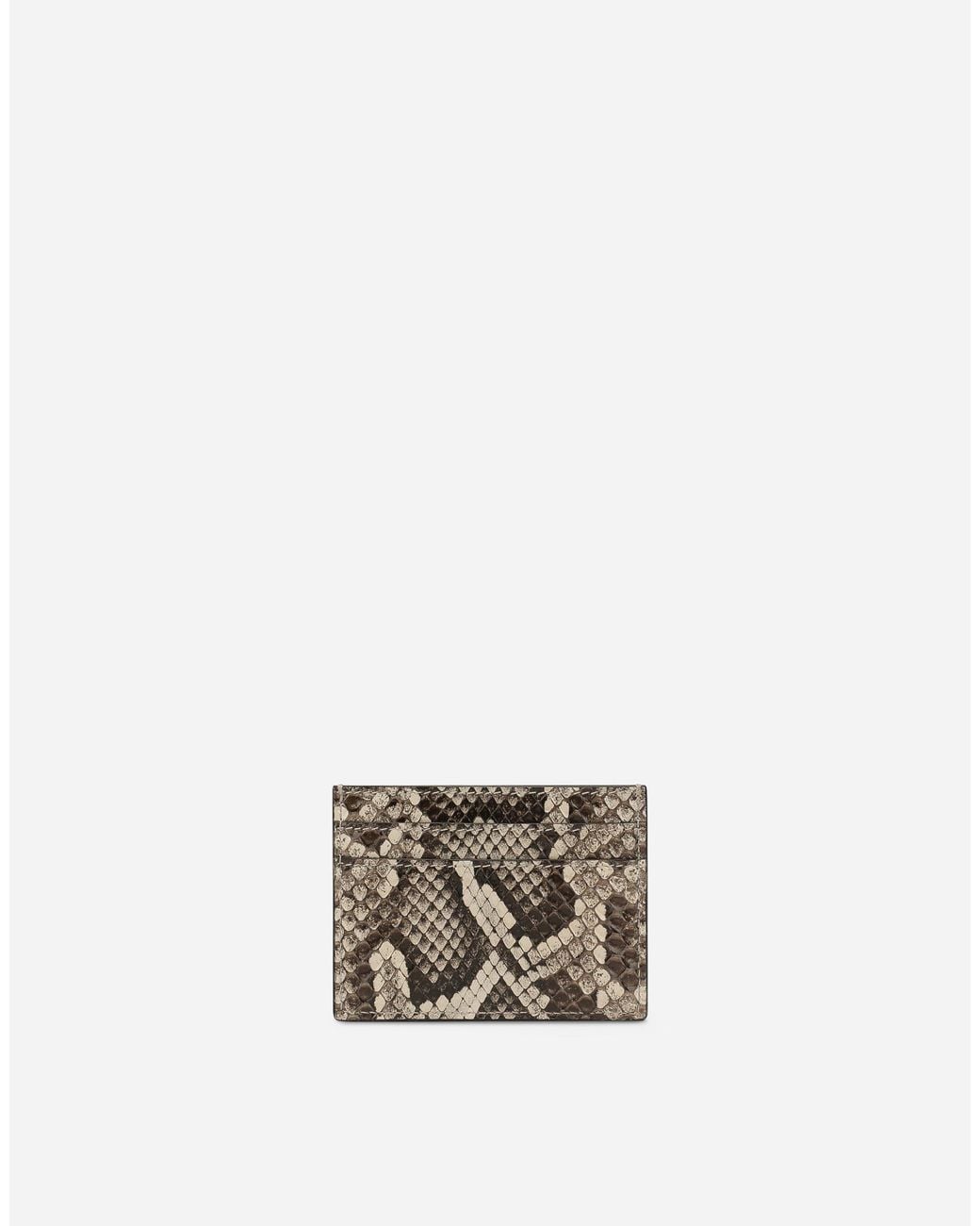 Dolce & Gabbana Multicolor Python Skin Card Holder for men