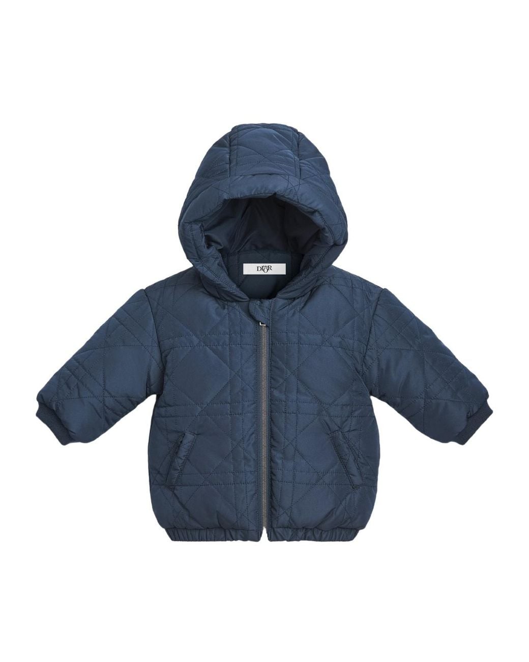 Dior Blue Hooded Down Jacket