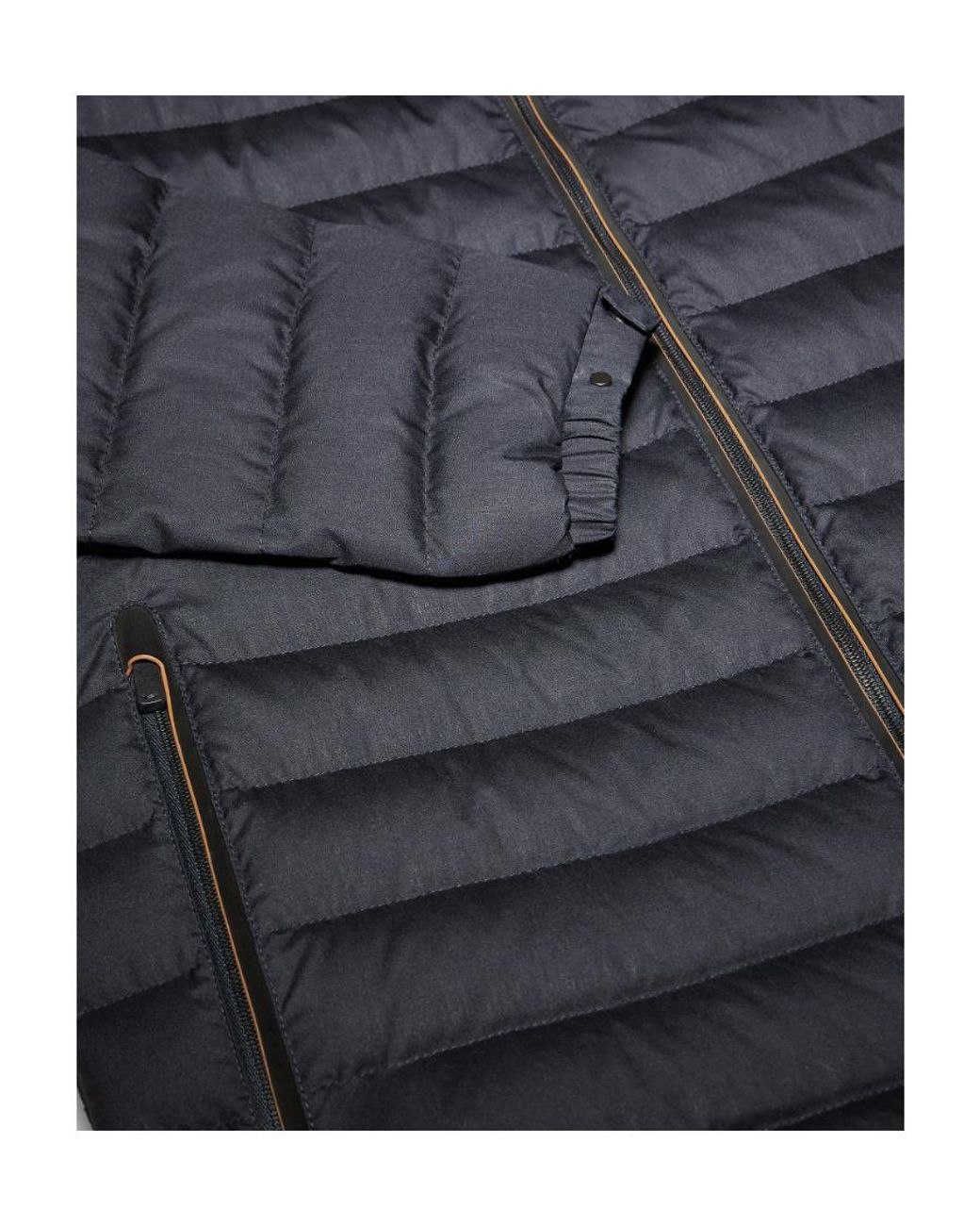 Zegna Blue Hooded Padded Jacket for men