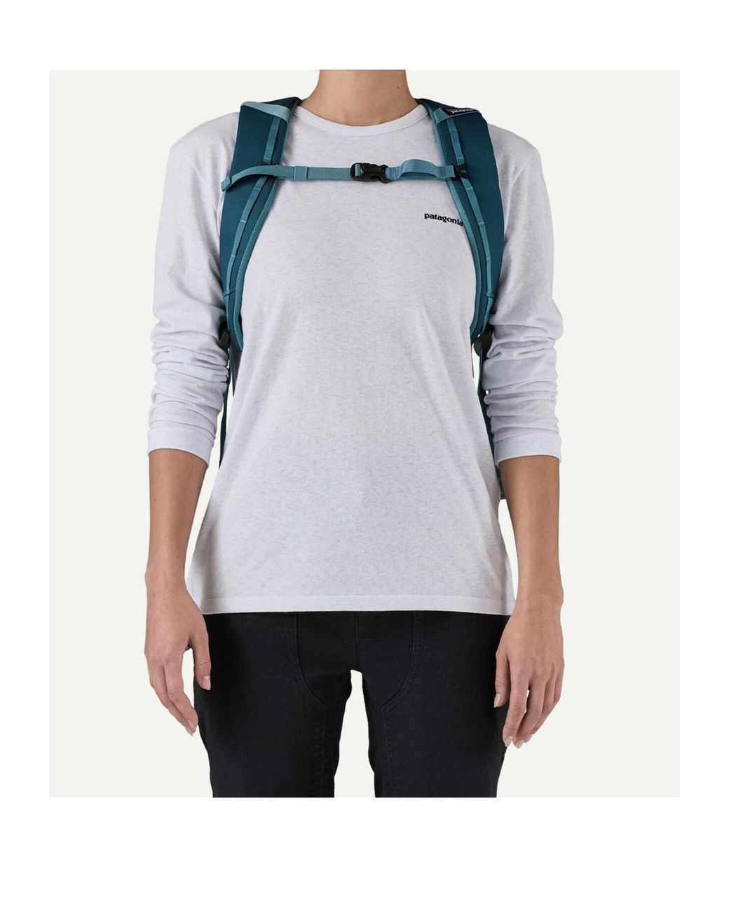 Patagonia Blue Hole 25L Backpack for men