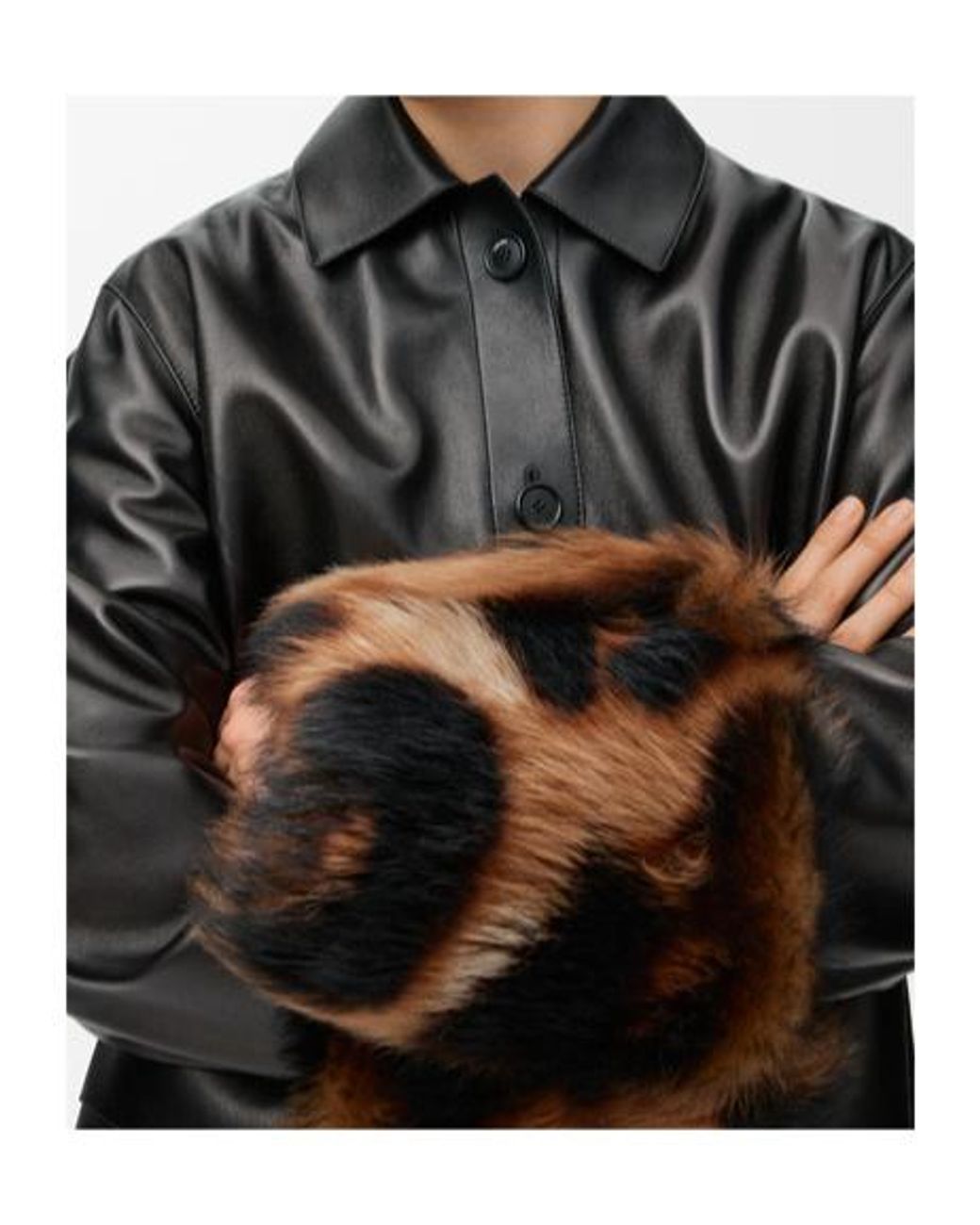 Loewe Black Leopard-Print Shearling-Trimmed Glossed-Leather Jacket