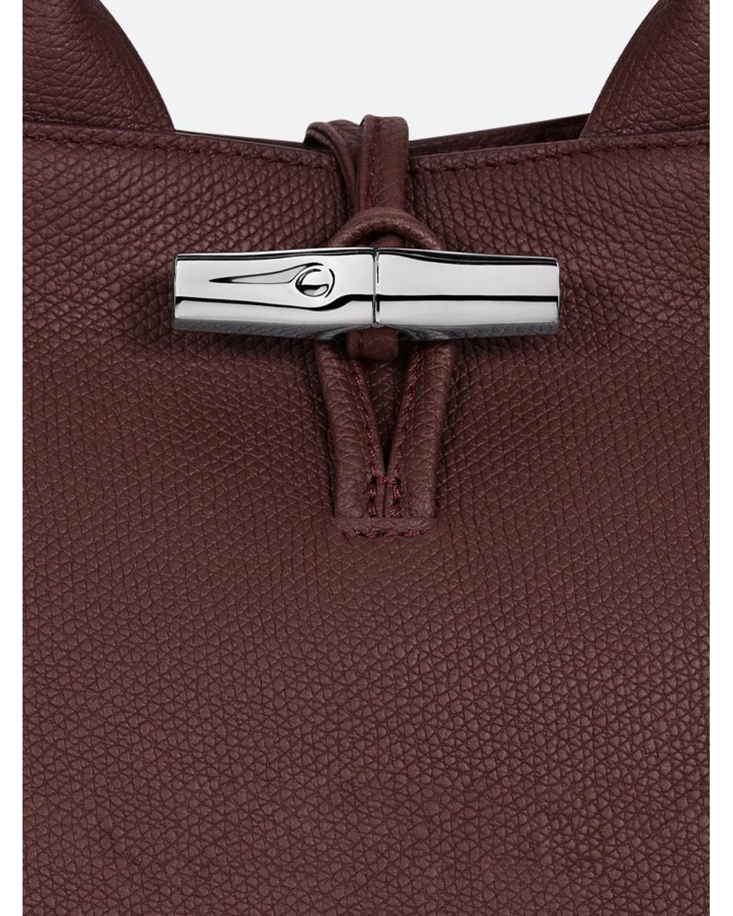 Longchamp Brown Le Roseau S Handbag