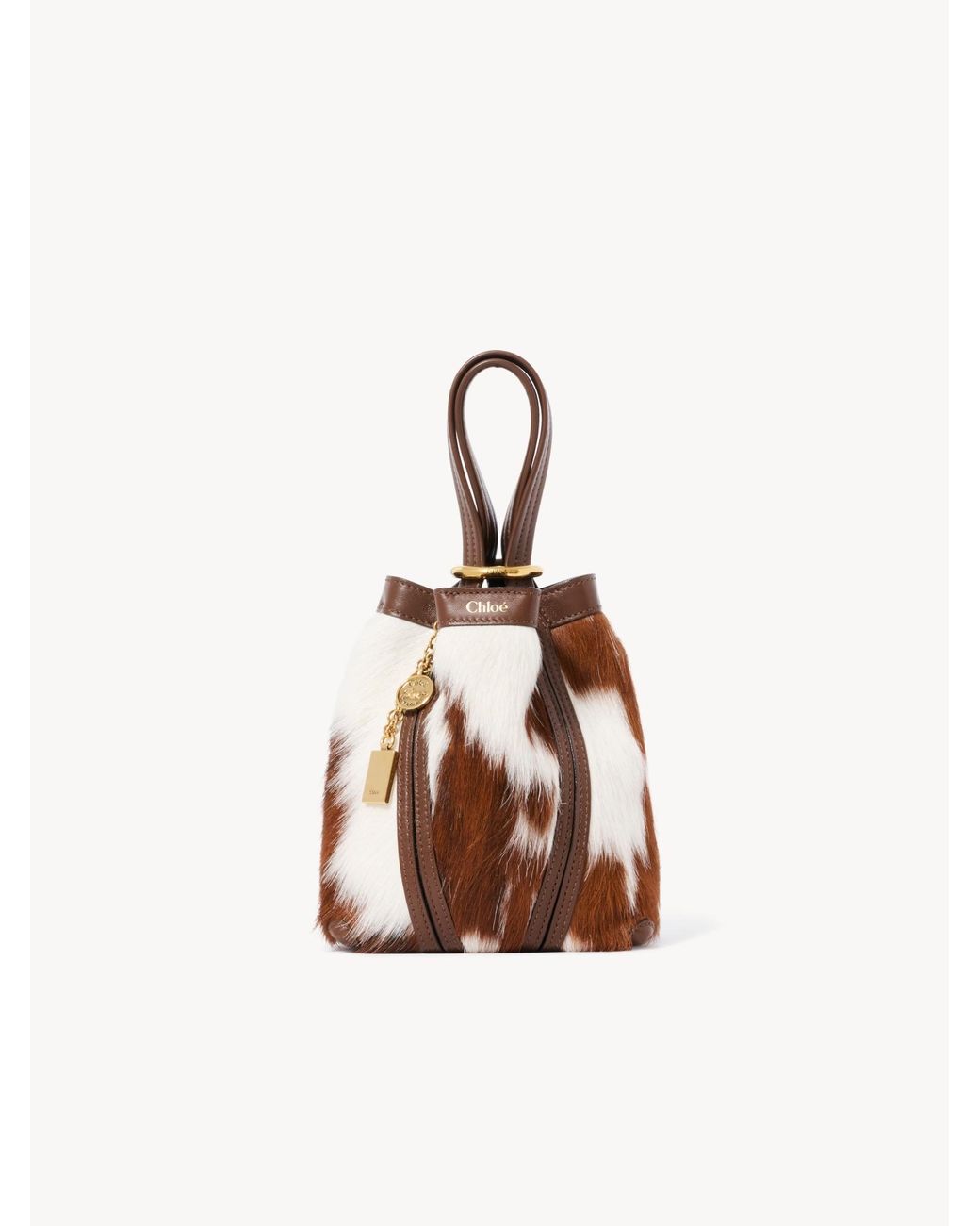 Chloé Brown Small Chloé Spin Tote Bag