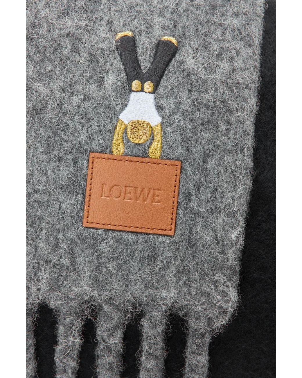 Loewe Multicolor Acrobat Embroidered Fringed Scarf for men