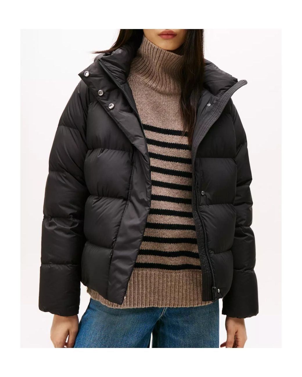 Tommy Hilfiger Black Shorts Down Puffer Jacket