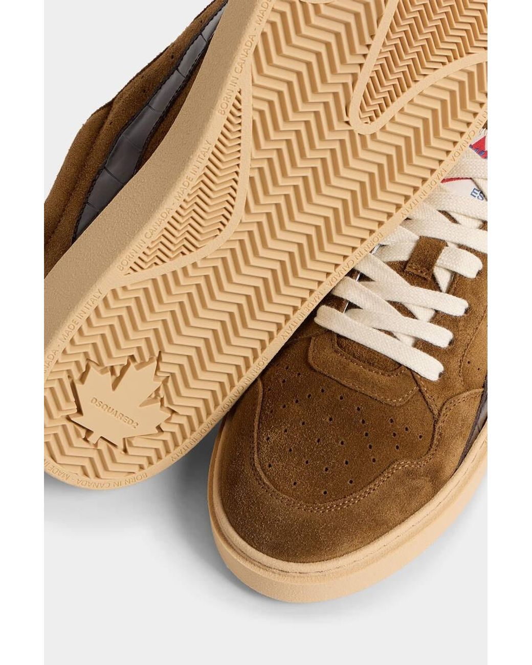 DSquared² Brown Rider Sneakers for men