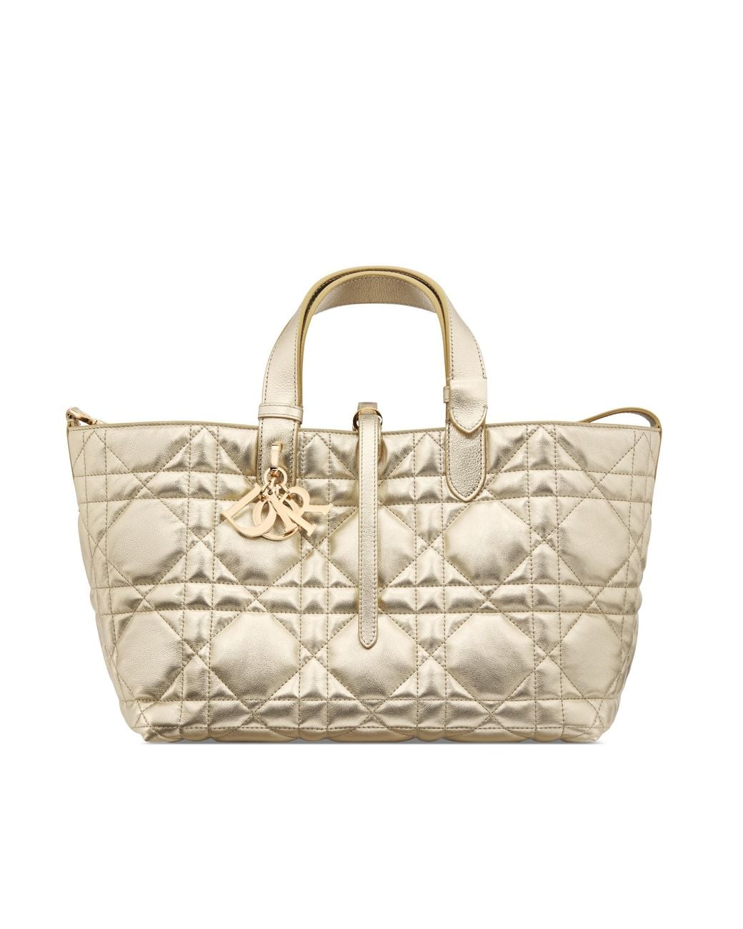 Dior Metallic Medium Toujours Bag