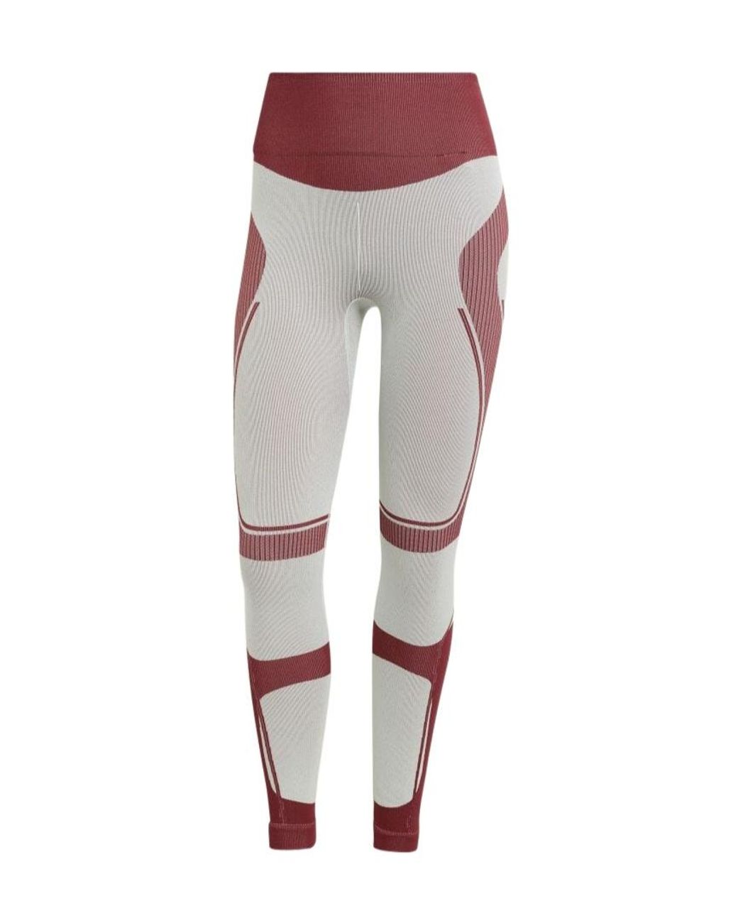 Adidas By Stella McCartney Multicolor Truenature Ski Seamless Leggings