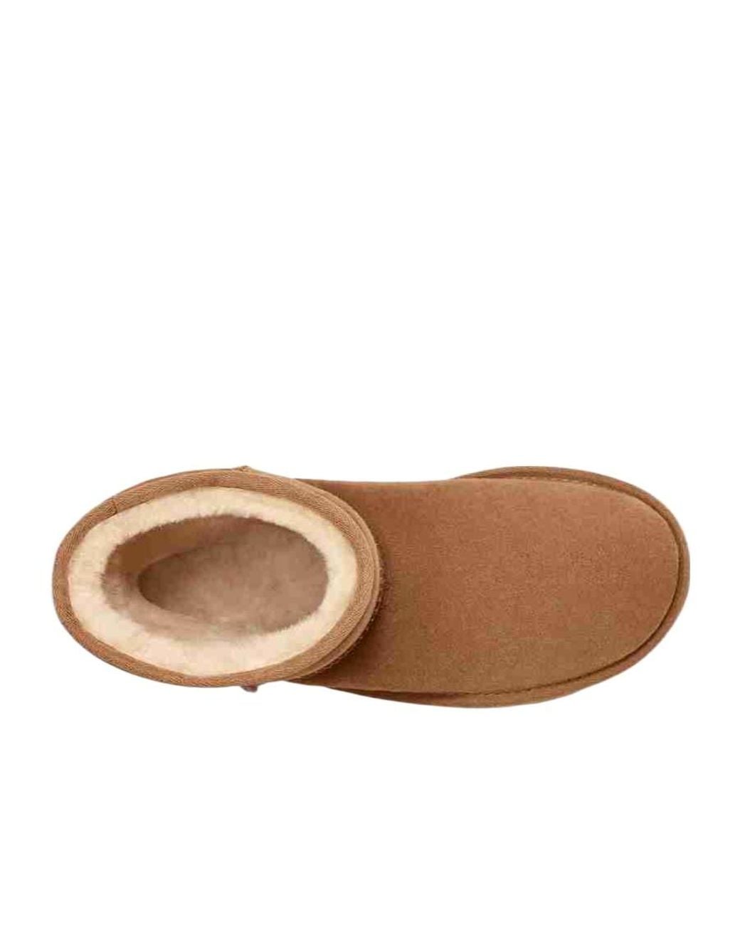 Ugg Brown Classic Short Boots for men