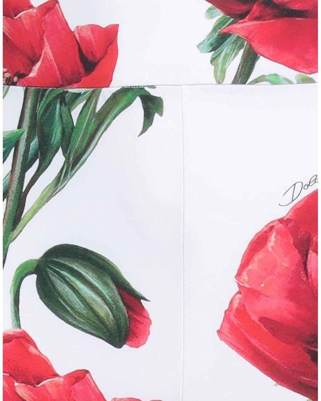 Dolce & Gabbana Red Floral Leggings