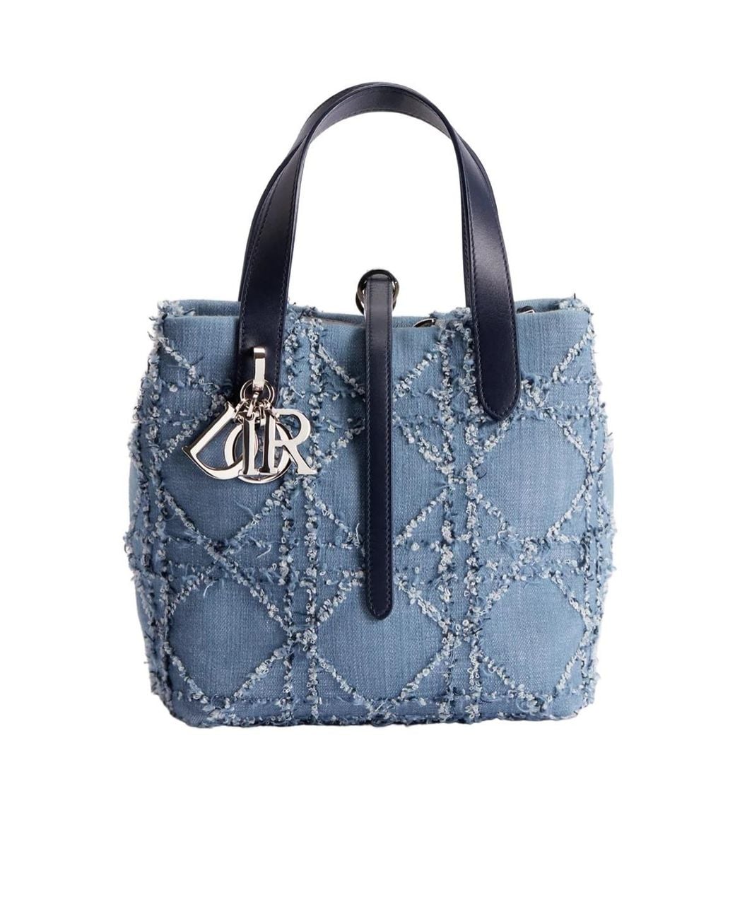 Dior Blue Small Toujours Vertical Tote Bag